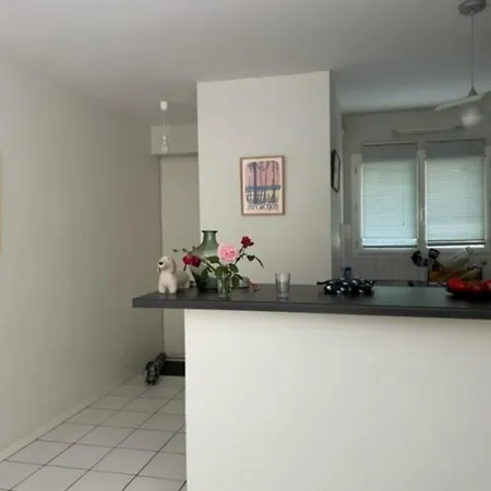 Arcachon-pereire Maison Jumelee 2 Chambres 4 Pers -jardinet Privatif Holiday home Arcachon